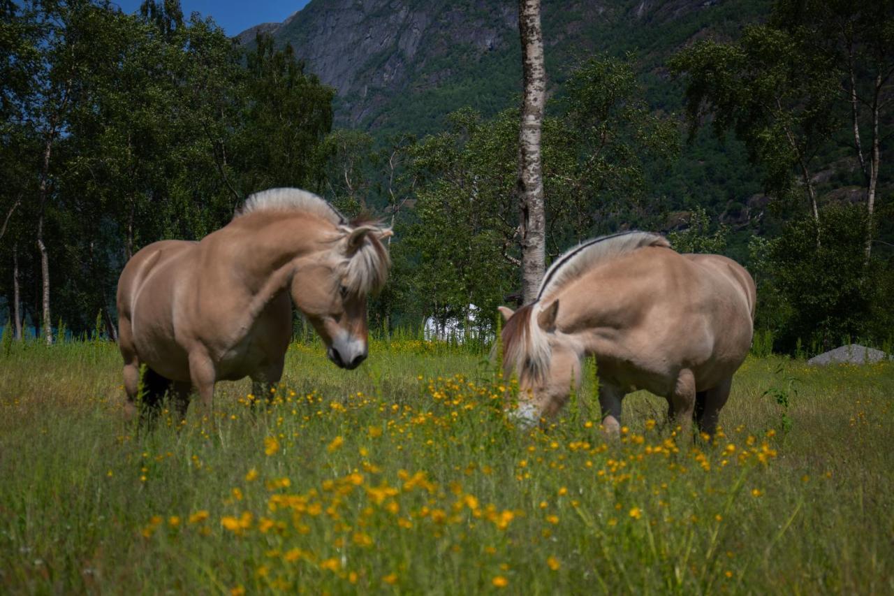 Olden Glamping - One With Nature Stryn Extérieur photo